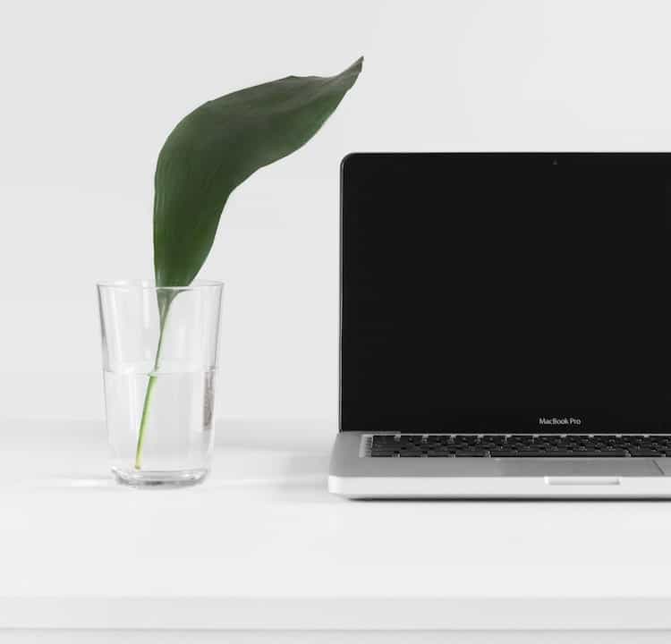 macbook laptop with a glass of water, with a leaf in the glass of water, next to it